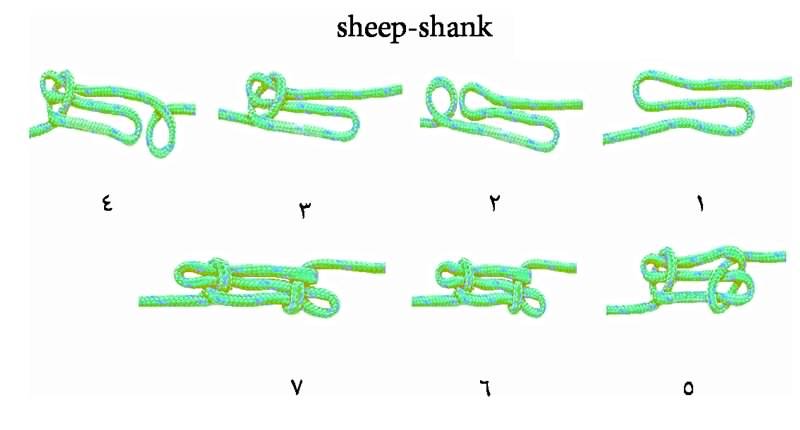 گره Sheep-shank